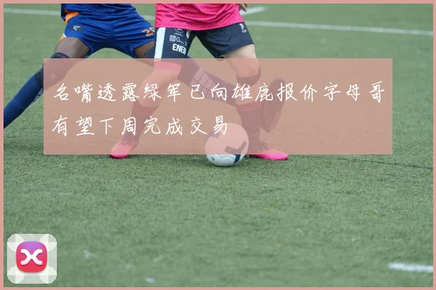 名嘴透露绿军已向雄鹿报价字母哥有望下周完成交易